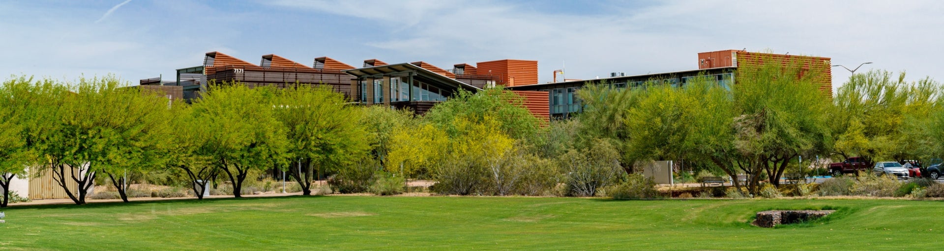 A view of the Polytechnic campus featuring grass, trees and a building in the distance.